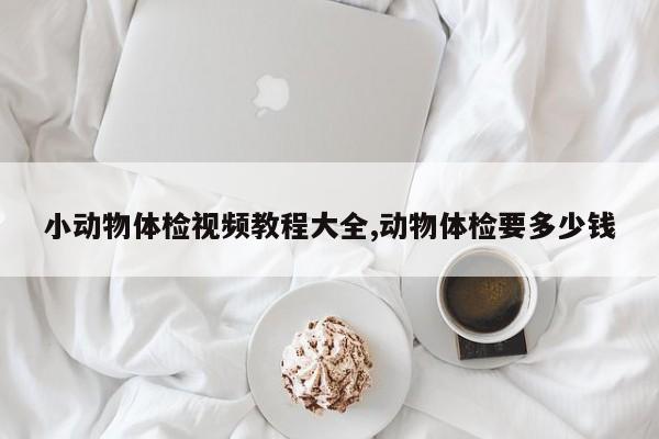 小动物体检视频教程大全,动物体检要多少钱